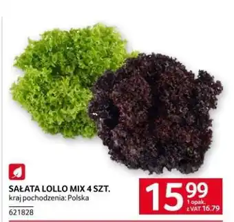 Selgros SAŁATA LOLLO MIX 4 SZT oferta