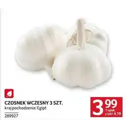 Selgros Czosnek wczesny 3 szt oferta
