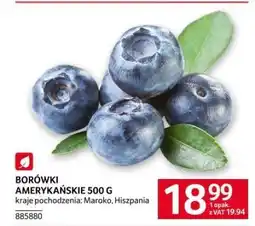 Selgros Borówki amerykańskie 500 g oferta