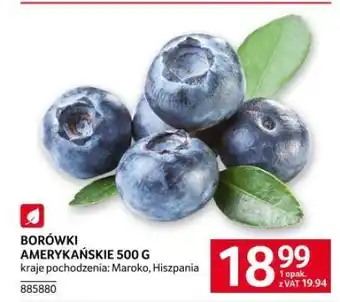 Selgros Borówki amerykańskie 500 g oferta