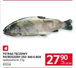 Selgros PSTRĄG TĘCZOWY PATROSZONY 250-400 G BOX oferta