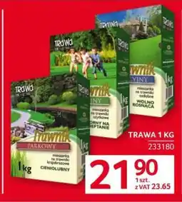 Selgros Trawa 1 kg oferta