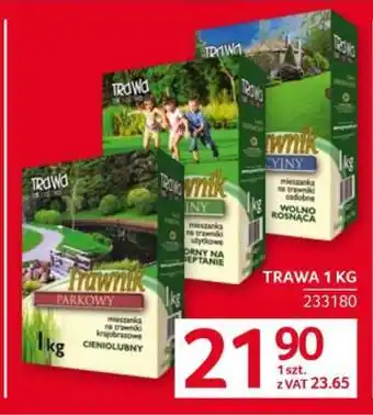 Selgros Trawa 1 kg oferta