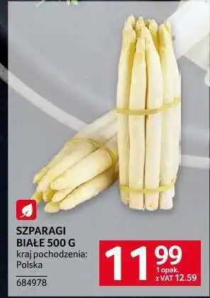Selgros Szparagi białe 500 g oferta