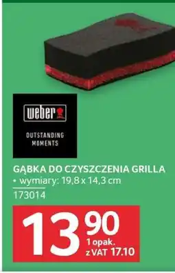 Selgros Gąbka do czyszczenia grilla oferta
