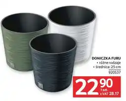Selgros Doniczka Furu oferta