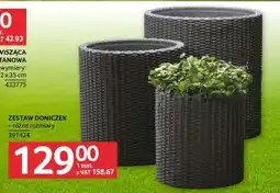 Selgros Zestaw doniczek oferta