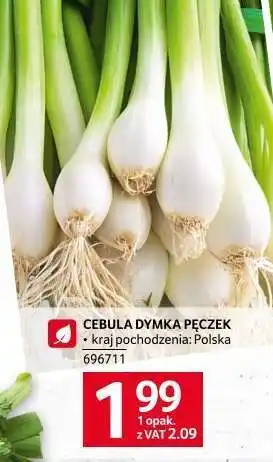 Selgros Cebula dymka pęczek oferta