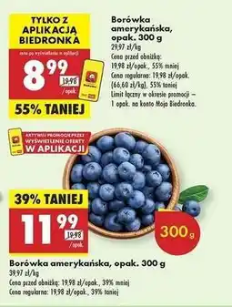 Biedronka Borówka amerykańska opak 300 g oferta
