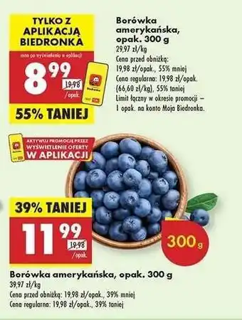 Biedronka Borówka amerykańska opak 300 g oferta