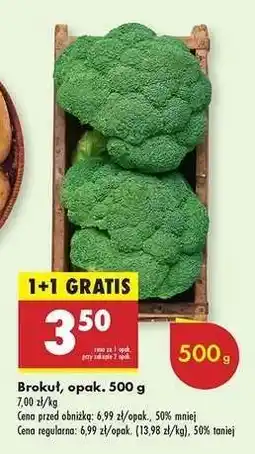 Biedronka Brokuł opak 500 g oferta