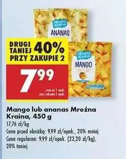 Biedronka Mango lub ananas Mroźna Kraina 450 g oferta