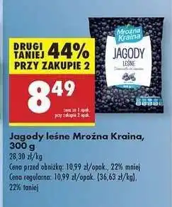 Biedronka Jagody leśne Mroźna Kraina 300 g oferta