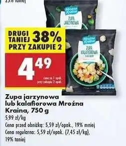 Biedronka Zupa jarzynowa lub kalafiorowa Mroźna Kraina , 750 g oferta