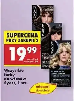 Biedronka Wszystkie farby do włosów Syoss, 1 szt oferta