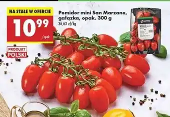 Biedronka Pomidor mini San Marzano, gałązka, opak. 300 g oferta