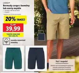 Lidl Bermudy męskie Livergy oferta