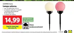 Lidl Lampa solarna Livarno oferta
