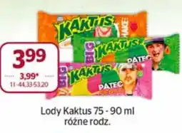 Społem Lody Kaktus oferta