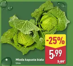 ALDI Młoda kapusta biała oferta