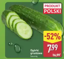 ALDI Ogórki gruntowe oferta