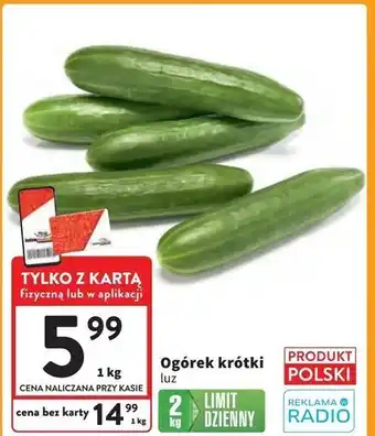 Intermarche Ogórki krótkie polskie oferta