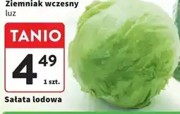 Intermarche Sałata lodowa oferta