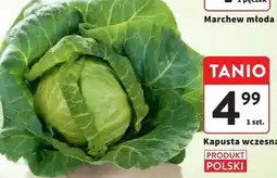 Intermarche Kapusta wczesna oferta