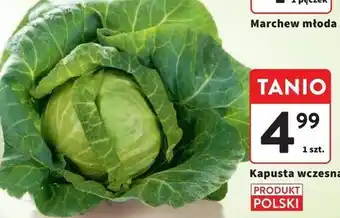 Intermarche Kapusta wczesna oferta