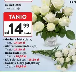 Intermarche Goździki oferta