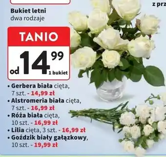 Intermarche Goździki oferta