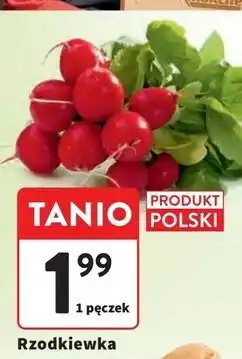 Intermarche Rzodkiewka oferta