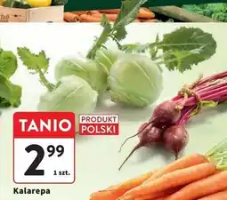 Intermarche Kalarepa polska oferta