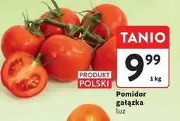 Intermarche Pomidory gałązka oferta