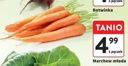 Intermarche Marchewka młoda oferta