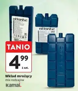 Intermarche Wkłady do lodówki Atlantic oferta