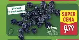 ALDI Jeżyny oferta