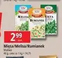 E.Leclerc Herbatka mięta Malwa Tea oferta
