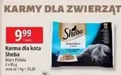 E.Leclerc Karma dla kota smaki rybne Sheba Selection In Sauce oferta