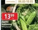 E.Leclerc Ogórki małosolne Matyjaszczyk oferta