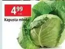 E.Leclerc Kapusta młoda oferta