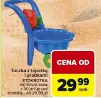 Carrefour Market Taczka stokrotka oferta