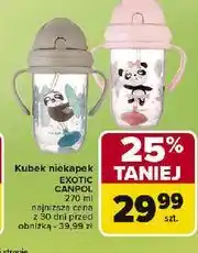 Carrefour Kubek niekapek 270 ml exotic szary Canpol Babies oferta