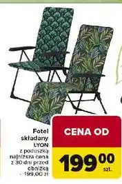 Carrefour Fotel lyon oferta