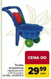 Carrefour Taczka stokrotka oferta