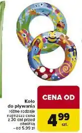 Carrefour Koło do pływania oferta