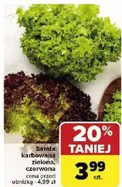 Carrefour Sałata czerwona oferta