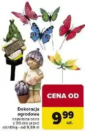 Carrefour Dekoracja ogrodowa oferta