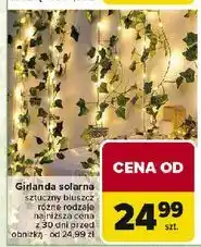 Carrefour Girlanda solarna oferta