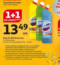 Auchan Płyn do WC Domestos oferta